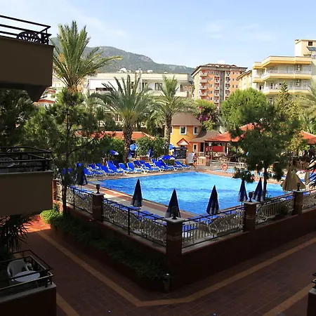 Orient 3*